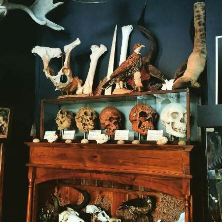 Uncovering Mysteries at the Olde Salem Magic Shoppe: A Witch's Guide